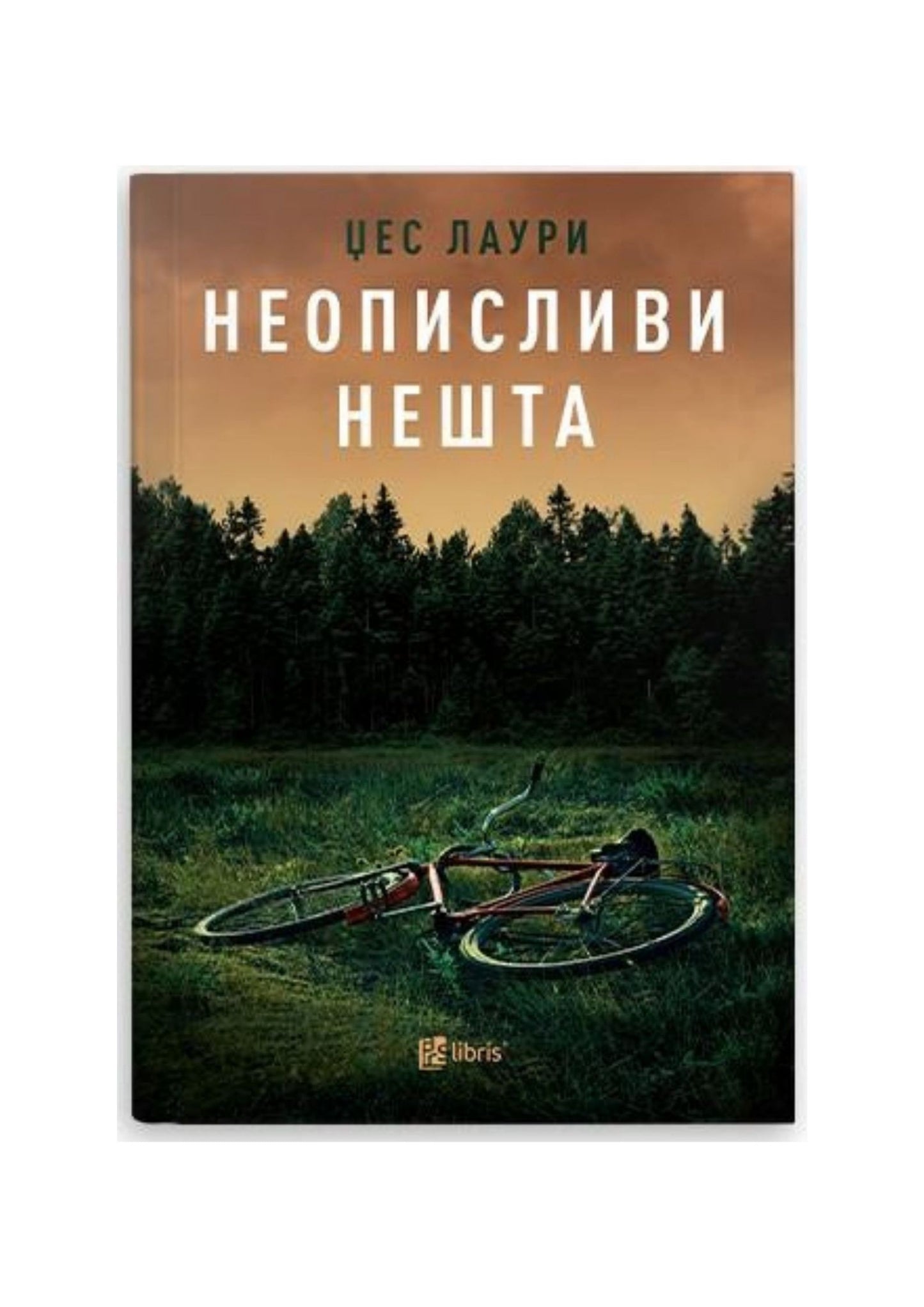 Неописливи нешта